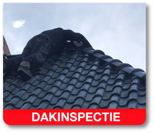 dakwerkzaamheden dakinspectie