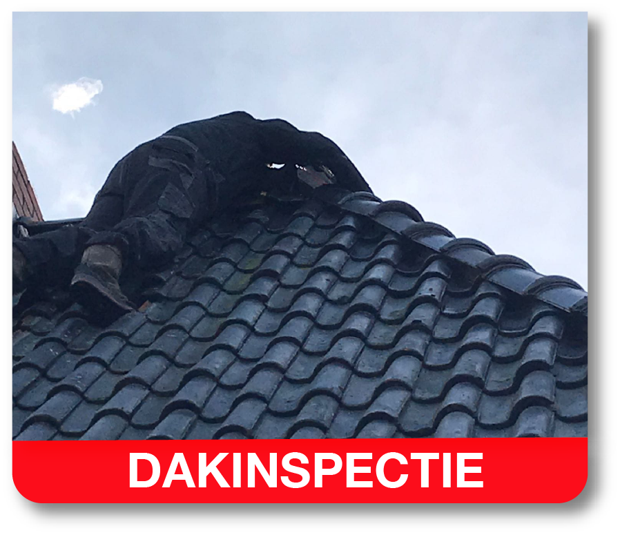 dakwerkzaamheden dakinspectie