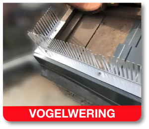dakwerkzaamheden vogelwering