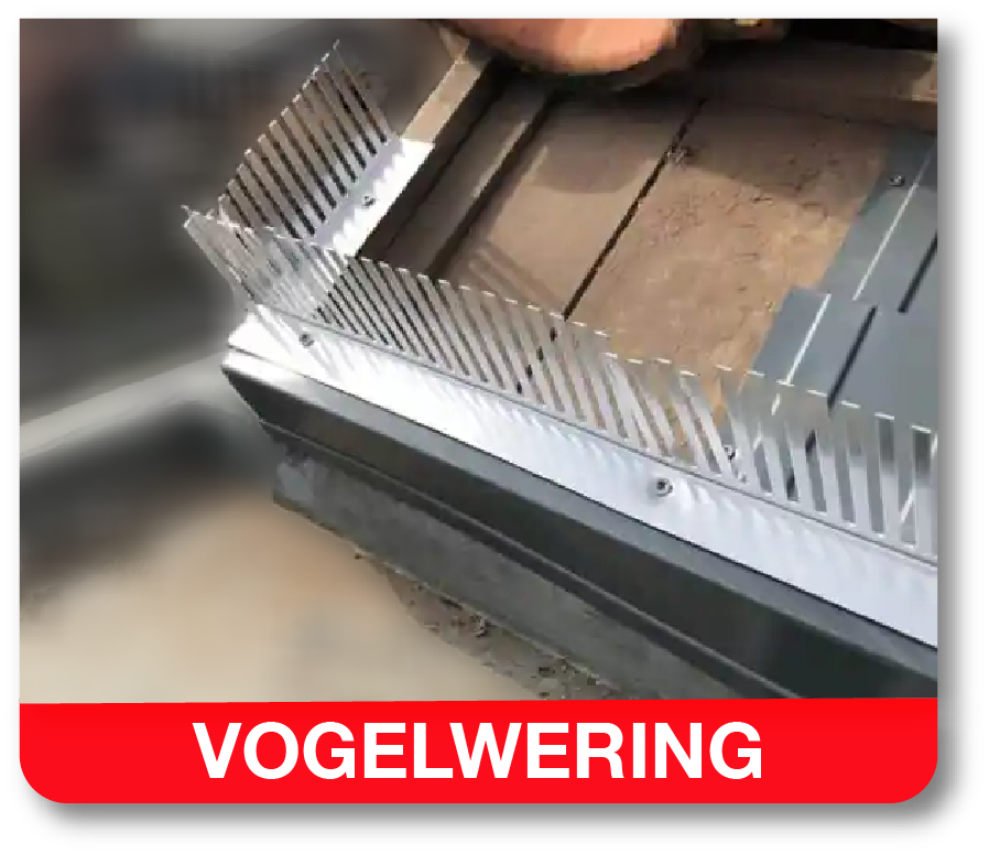 dakwerkzaamheden vogelwering